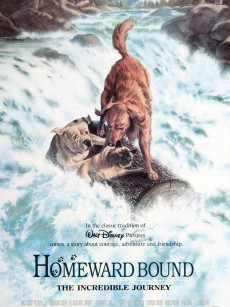 看狗在说话 Homeward Bound: The Incredible Journey (1993)