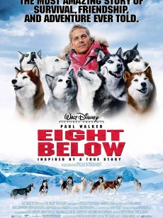 南极大冒险 Eight Below (2006)