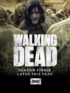 行尸走肉 第十季 The Walking Dead Season 10 (2019)