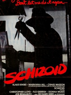 精神病患者 Schizoid (1980)