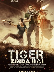 猛虎还活着 Tiger Zinda Hai (2017)