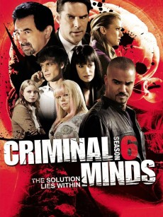 犯罪心理 第六季 Criminal Minds Season 6 (2010)