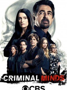 犯罪心理 第十二季 Criminal Minds Season 12 (2016)