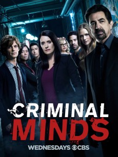 犯罪心理 第十三季 Criminal Minds Season 13 (2017)