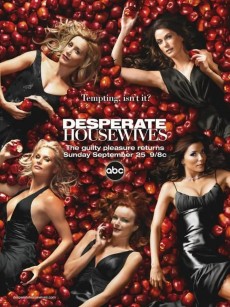 绝望主妇 第二季 Desperate Housewives Season 2 (2005)