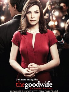 傲骨贤妻 第一季 The Good Wife Season 1 (2009)