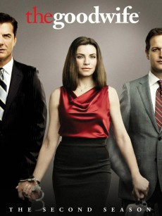 傲骨贤妻 第二季 The Good Wife Season 2 (2010)