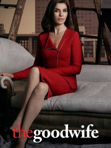 傲骨贤妻 第七季 The Good Wife Season 7 (2015)