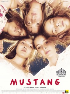 野马 Mustang (2015)