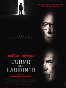 迷宫中的人 L’uomo del labirinto (2019)