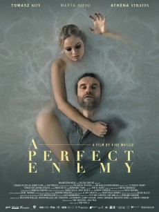 完美敌人 A Perfect Enemy (2020)