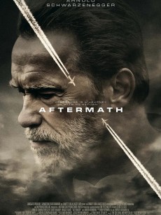 空难余波 Aftermath (2017)