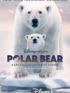 北极熊 Polar Bear (2022)