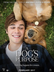 一条狗的使命 A Dog’s Purpose (2017)