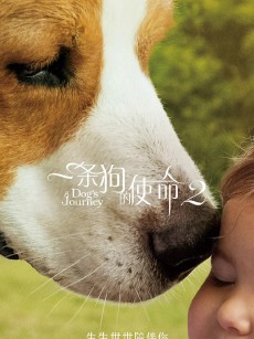 一条狗的使命2 A Dog’s Journey (2019)