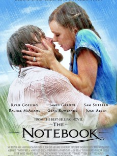 恋恋笔记本 The Notebook (2004)