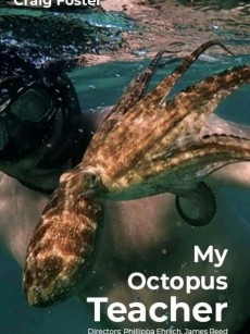 我的章鱼老师 My Octopus Teacher (2020)