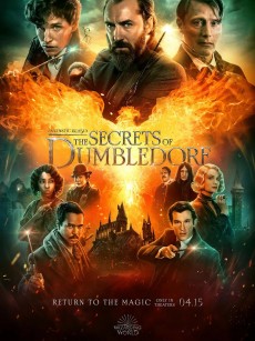 神奇动物：邓布利多之谜 Fantastic Beasts: The Secrets of Dumbledore (2022)