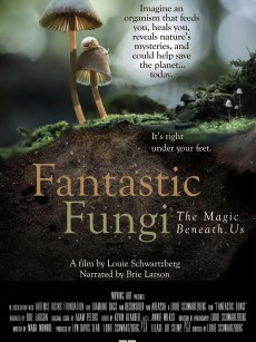 神奇的真菌 Fantastic Fungi (2019)