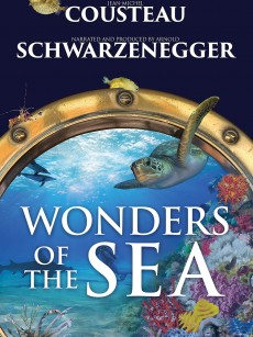 奇妙的海洋 Wonders of the Sea 3D (2017)