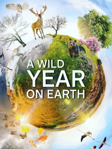 狂野地球 A Wild Year on Earth (2020)