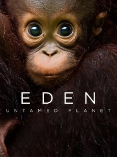 伊甸园：最后的秘境 Eden: Untamed Planet (2021)