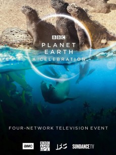 地球脉动：生命礼赞 Planet Earth: A Celebration (2020)