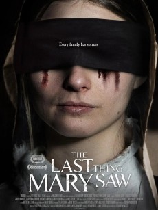 最后一眼 The Last Thing Mary Saw (2021)