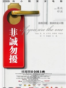 非诚勿扰 (2008)