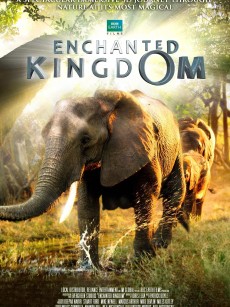 魔法王国 Enchanted Kingdom 3D (2014)