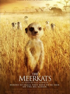 蒙哥 The Meerkats (2008)