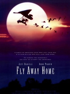 伴你高飞 Fly Away Home (1996)