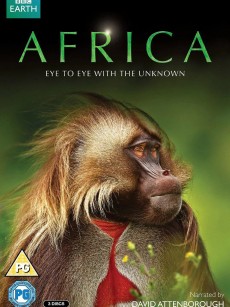 非洲 Africa (2013)