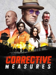 纠正措施 Corrective Measures (2022)