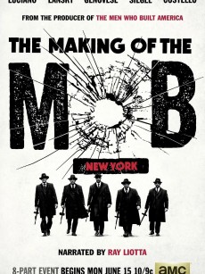 纽约黑帮纪实 The Making of the Mob: New York (2015)