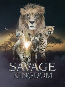 野蛮王国 第三季 Savage Kingdom Season 3 (2019)