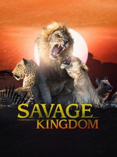 野蛮王国 第四季 Savage Kingdom Season 4 (2020)