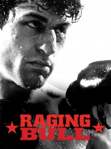 愤怒的公牛 Raging Bull (1980)