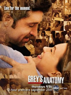 实习医生格蕾 第五季 Grey’s Anatomy Season 5 (2008)