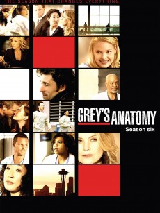 实习医生格蕾 第六季 Grey’s Anatomy Season 6 (2009)