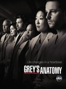 实习医生格蕾 第七季 Grey’s Anatomy Season 7 (2010)