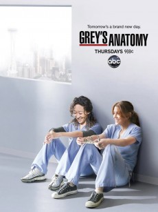 实习医生格蕾 第八季 Grey’s Anatomy Season 8 (2011)