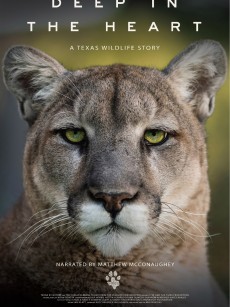 Deep in the Heart: A Texas Wildlife Story (2022)