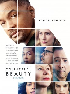 附属美丽 Collateral Beauty (2016)