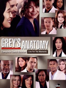 实习医生格蕾 第十季 Grey’s Anatomy Season 10 (2013)