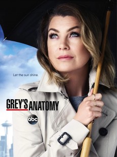 实习医生格蕾 第十二季 Grey’s Anatomy Season 12 (2015)