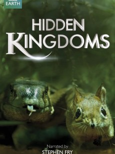 隐秘王国 Hidden Kingdoms (2014)