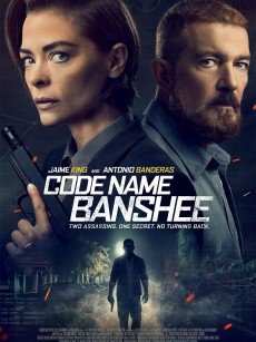 报丧女妖 Code Name Banshee (2022)