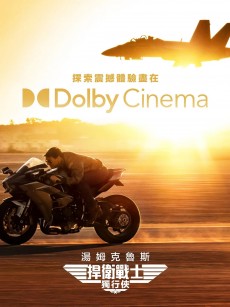 壮志凌云2：独行侠 Top Gun: Maverick (2022)