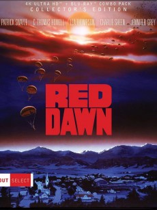 天狐入侵 Red Dawn (1984)